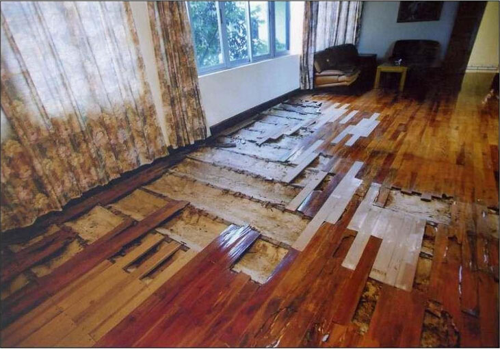 别墅家庭木地板白蚁防治